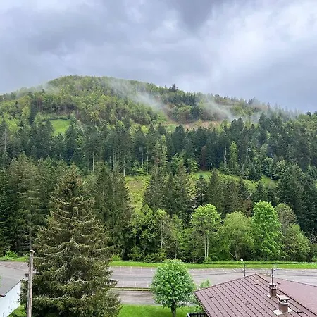 Le Balcon - Appartement *