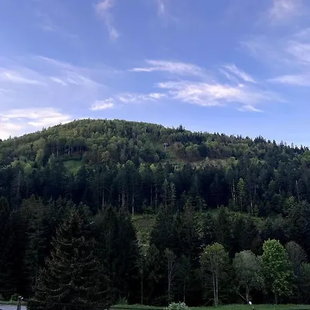 Appartement Le Balcon - La Bresse