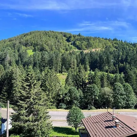 Le Balcon - La Bresse