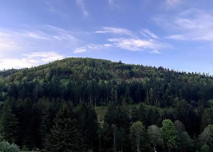 Apartmán Le Balcon - La Bresse