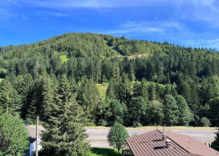 Le Balcon - La Bresse