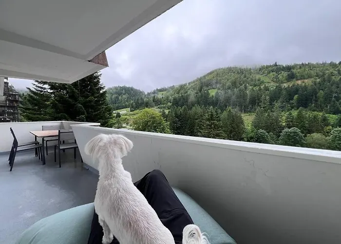 Apartmán Le Balcon - La Bresse